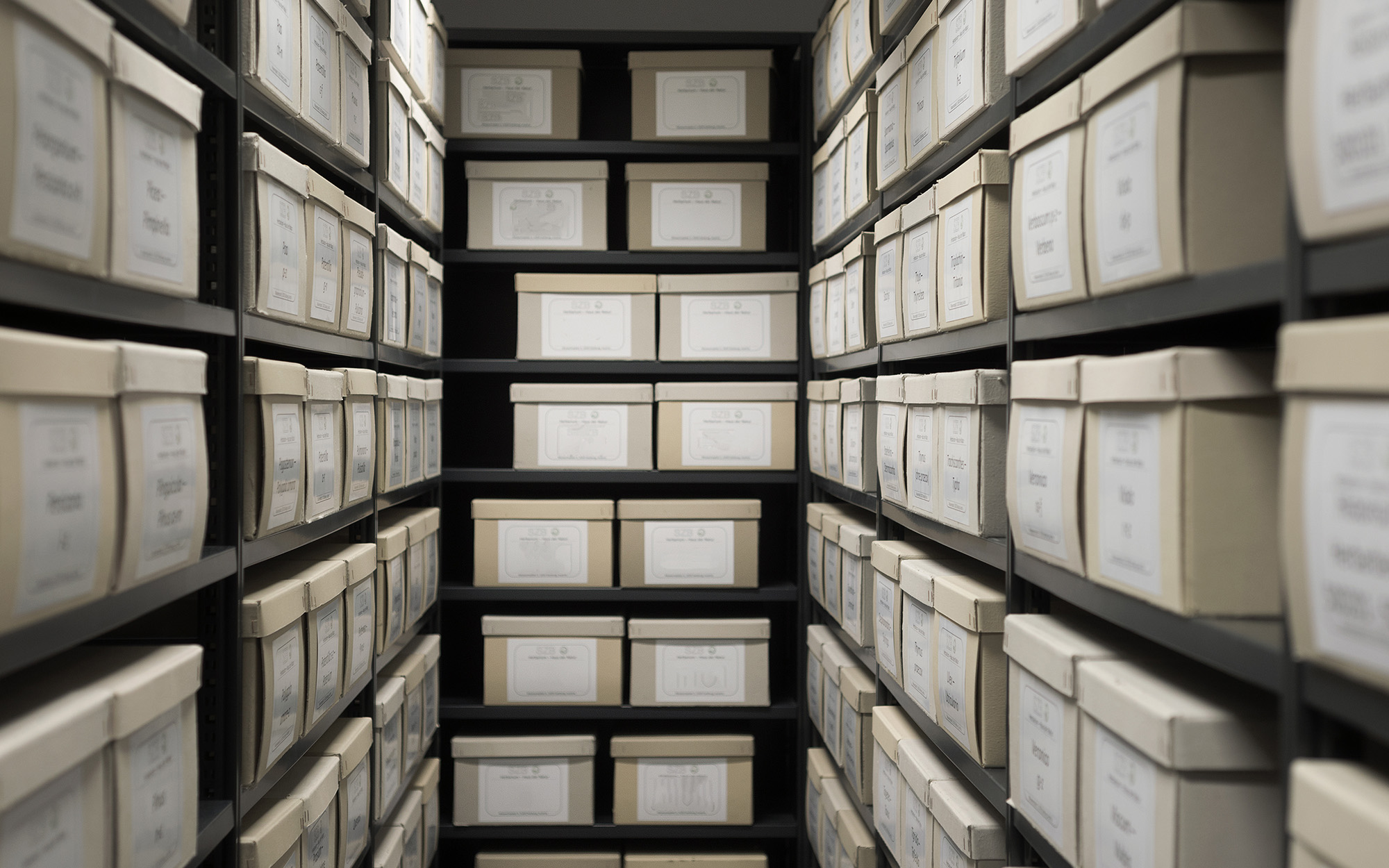 Storage Docket Indianapolis Document Storage Services | IRM